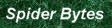 Spider Bytes